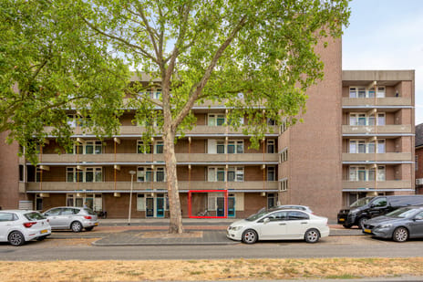undefined main image