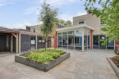 Afbeelding van Dagpauwoog 7 - Derde foto