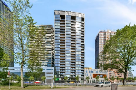 undefined main image