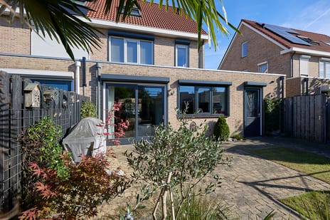 Afbeelding van Aalscholver 23 - Tweede foto
