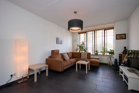 Afbeelding van Aalscholver 23 - Derde foto