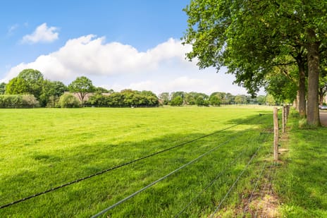Afbeelding van Veentjesweg 25 - Derde foto