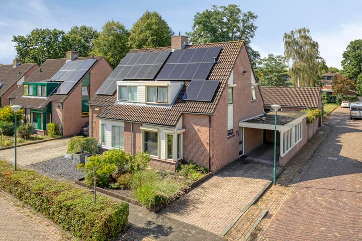 De Wisboom 33 main image