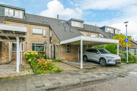 Wever 16 main image