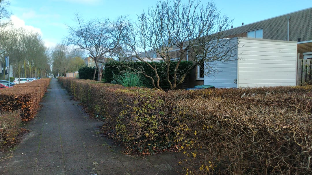 House Image 3
