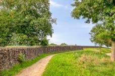 Afbeelding van Forel 28 - Derde foto