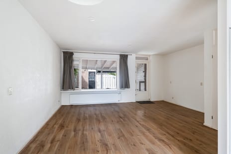 Goudplevier 37 secondary image
