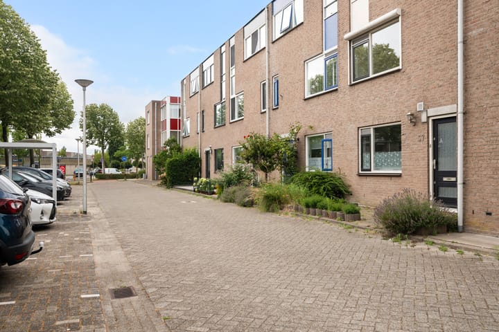Goudplevier 37 main image
