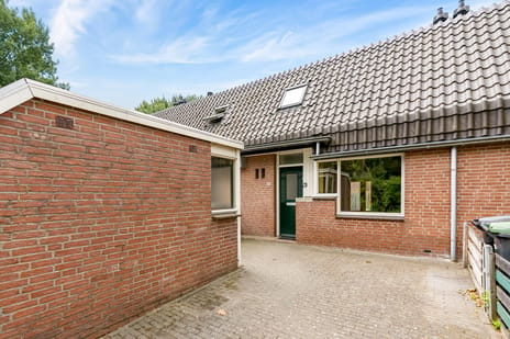 undefined main image