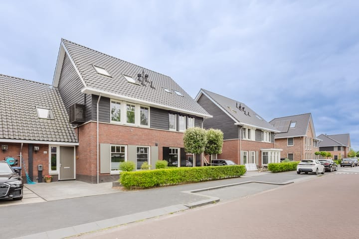 Goudreinet 46 main image