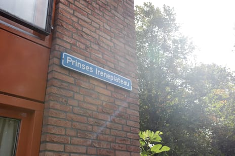 Afbeelding van Prinses Ireneplateau 78 - Derde foto