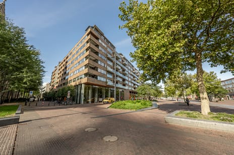 Afbeelding van Binnenrotte 289 - Tweede foto