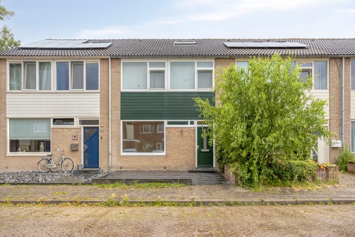 Maagdepalm 80 main image