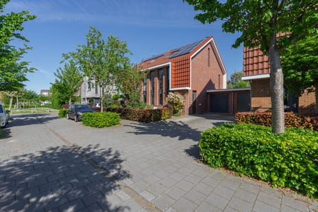 Kikkerbeet 9 secondary image