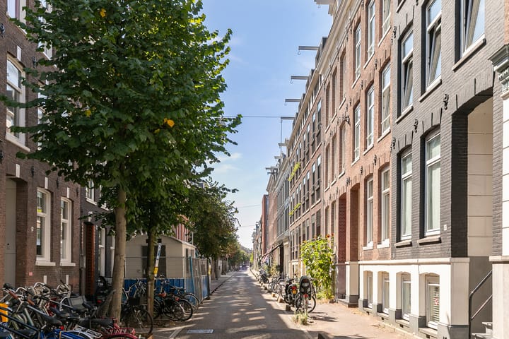 Govert Flinckstraat 263-C main image