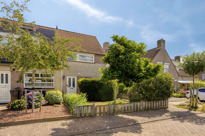 Roerdomp 67 main image