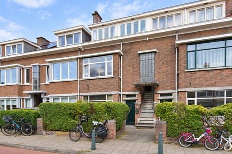 Goudreinetstraat 119 main image