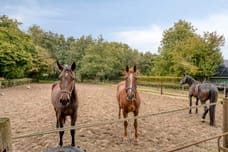 Afbeelding van Eikenlaan 27 - Derde foto