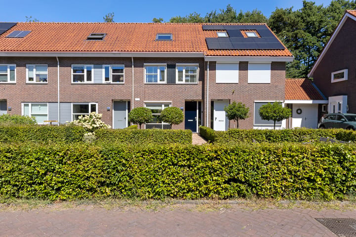 Echobos 18 main image