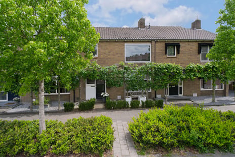 undefined main image