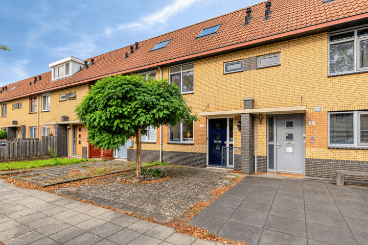 Johannes Vermeerstraat 113 main image