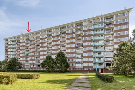 Raamveld 171 main image