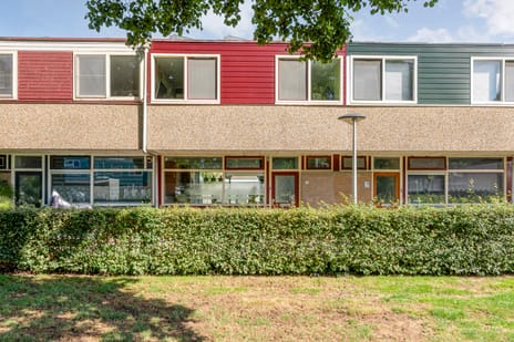 undefined main image