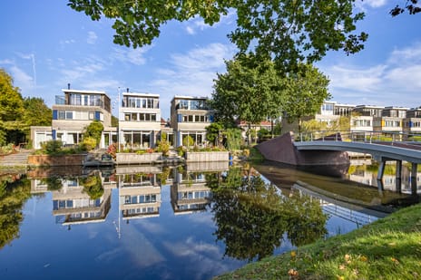 Afbeelding van Kalmoes 3 - Tweede foto