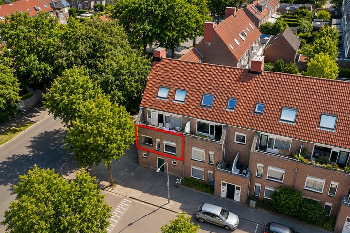 Muntweg 83 main image