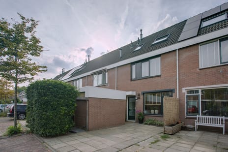 undefined main image