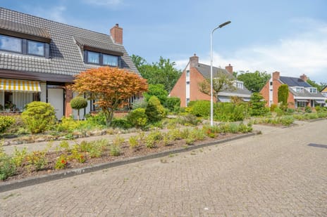 Afbeelding van Boereweide 36 - Derde foto