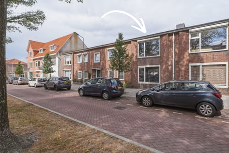 Singel 21 main image