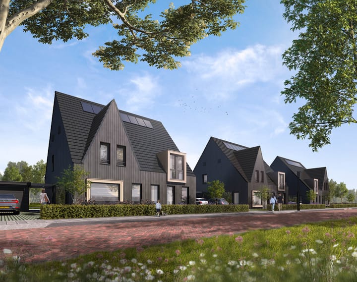 Pinksterbloem main image