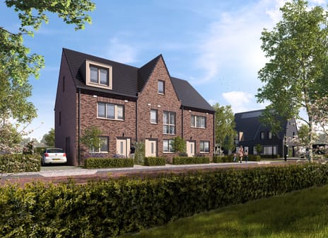 Afbeelding van Pinksterbloem - Derde foto