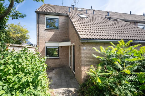 Pinksterbloem 48 secondary image