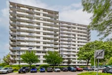 Afbeelding van Akkerwinde 292 - Derde foto