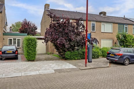 undefined main image
