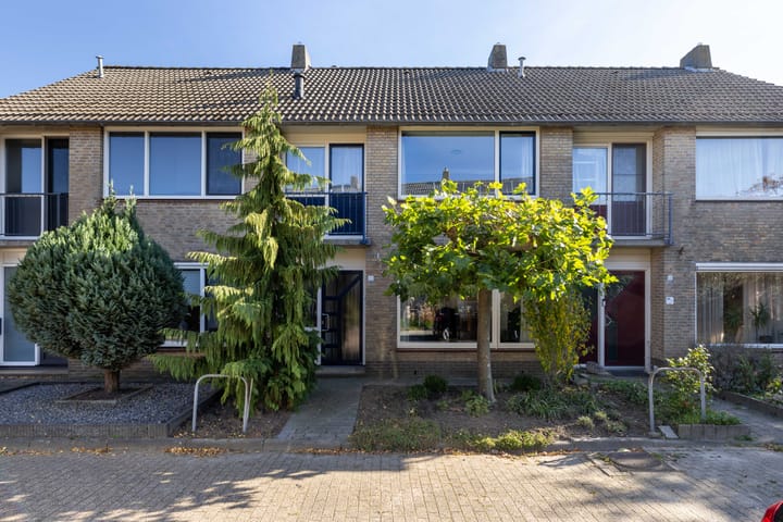 Schoener 30 main image