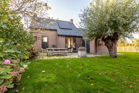 Afbeelding van Ree 62 - Derde foto