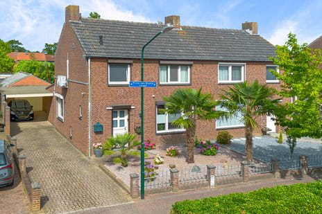 undefined main image