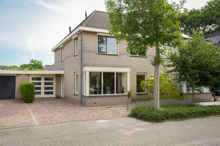 Donkerbos 37 main image