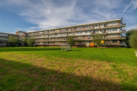 van der Werffstraat 242 main image
