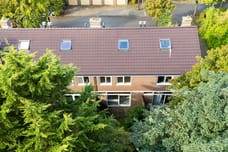 Afbeelding van Heggewinde 35 - Derde foto