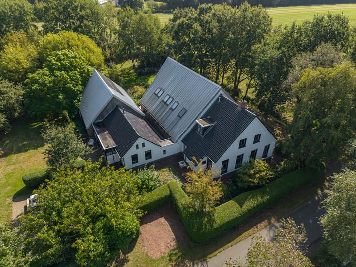 Commissiebos 6 main image