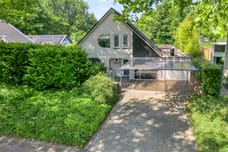 Afbeelding van Citroenvlinder 3 - Derde foto