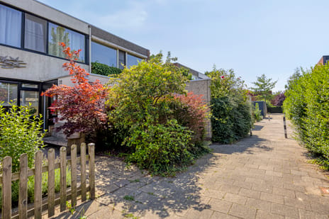 Zilverdistel 24 secondary image