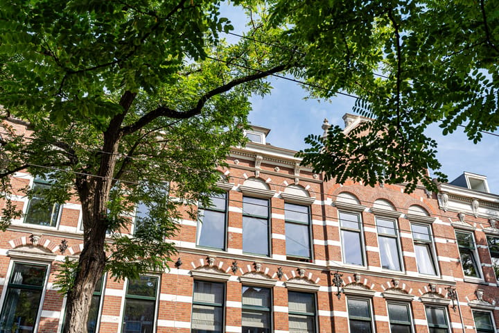 Nieuwe Binnenweg 219-B03 main image