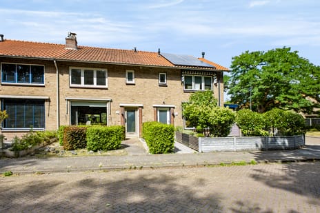 undefined main image