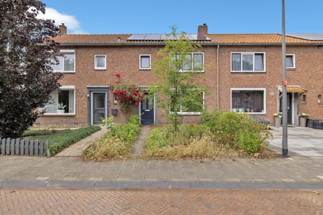 undefined main image