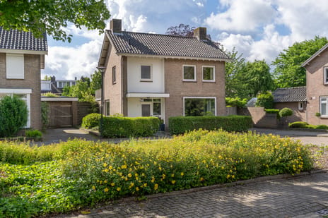 undefined main image